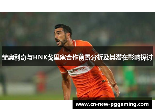 菲奥利奇与HNK戈里察合作前景分析及其潜在影响探讨 菲奥利奇与HNK戈里察合作前景分析及其潜在影响探讨