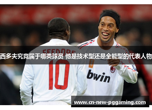 西多夫究竟属于哪类球员 他是技术型还是全能型的代表人物
