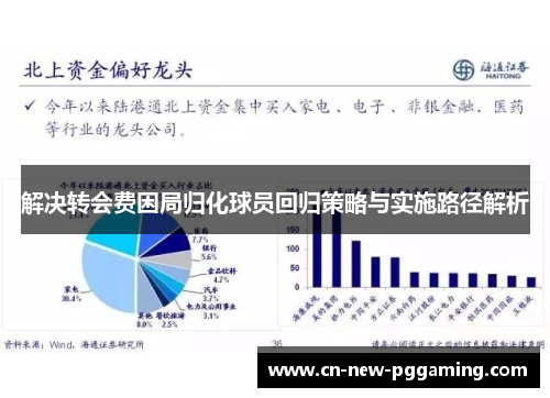 解决转会费困局归化球员回归策略与实施路径解析 解决转会费困局归化球员回归策略与实施路径解析