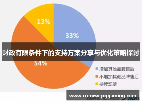 财政有限条件下的支持方案分享与优化策略探讨