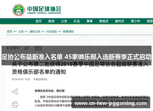 足协公布最新准入名单 45家俱乐部入选新赛季正式启动 足协公布最新准入名单 45家俱乐部入选新赛季正式启动