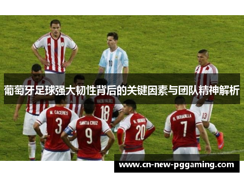 葡萄牙足球强大韧性背后的关键因素与团队精神解析