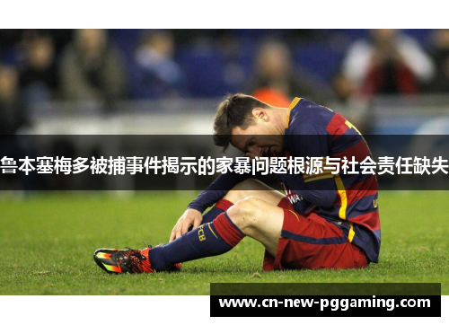 鲁本塞梅多被捕事件揭示的家暴问题根源与社会责任缺失