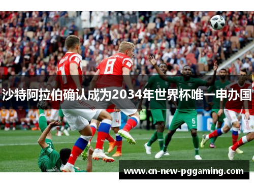 沙特阿拉伯确认成为2034年世界杯唯一申办国